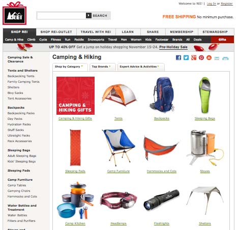 Website category example REI