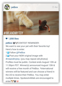 instagram contest - petbox