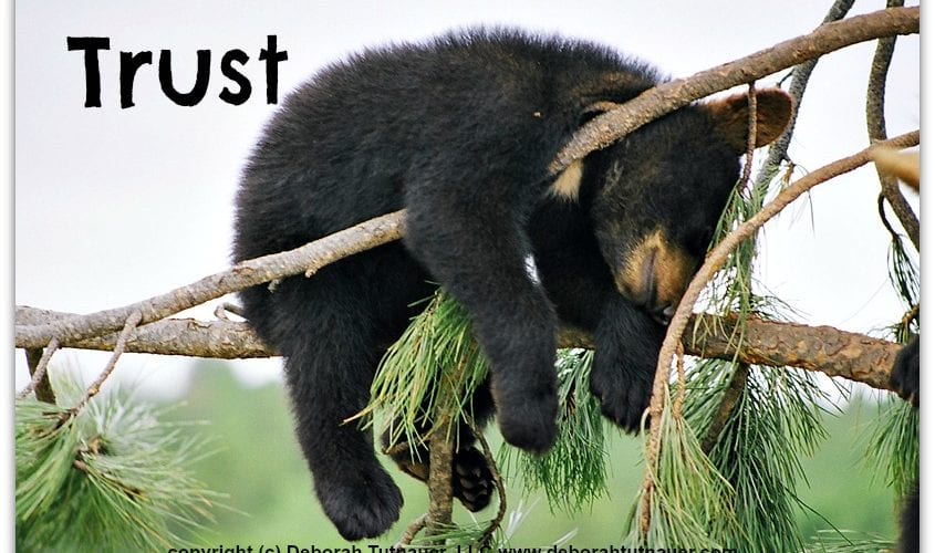social_selling_trust