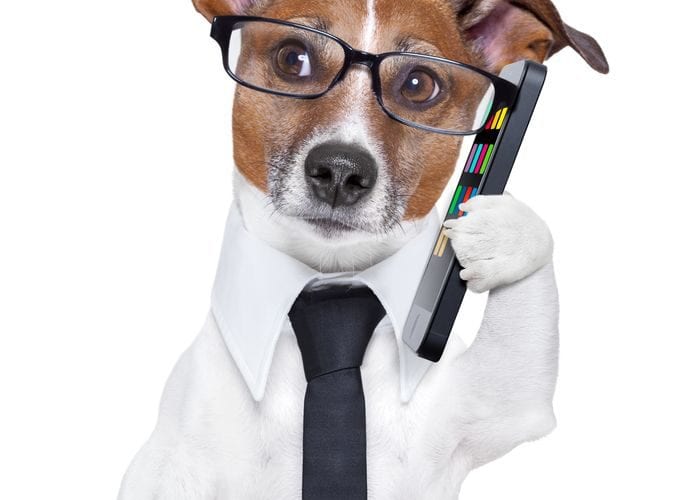 Mobile Marketing