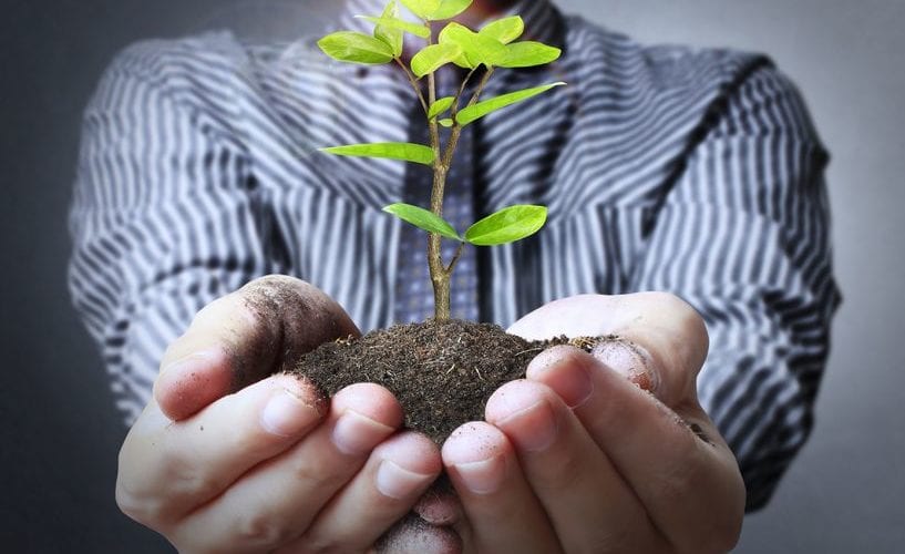 nurture business relationships