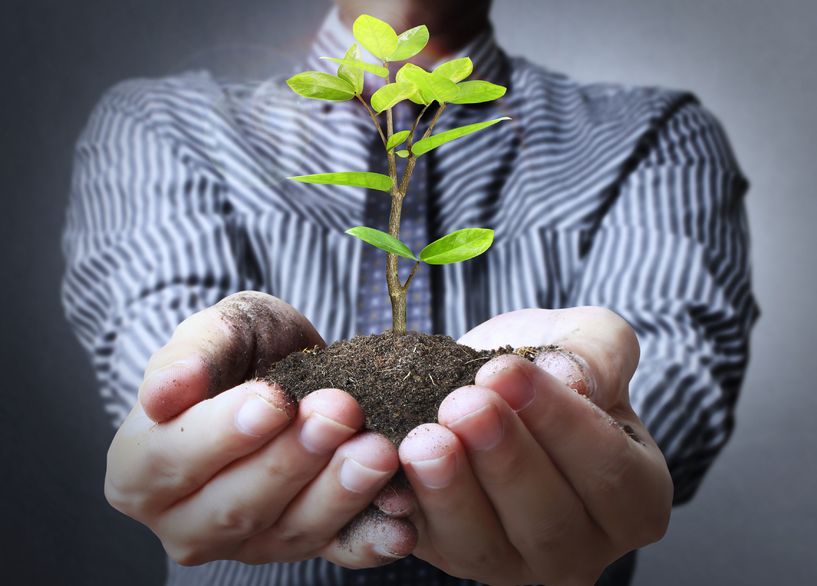 nurture business relationships