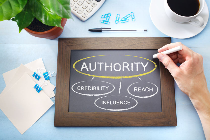 how to Build authority with high-quality SEO efforts