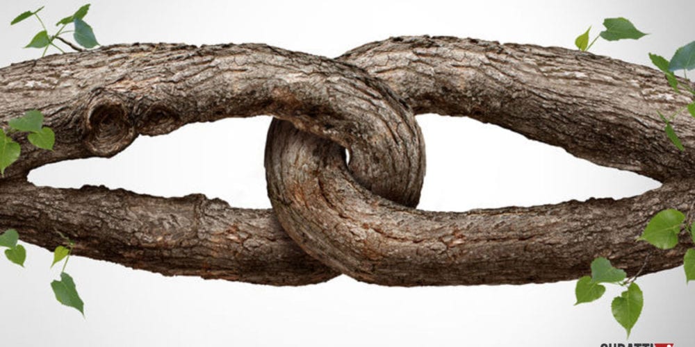 Build and Grow Audience Trust