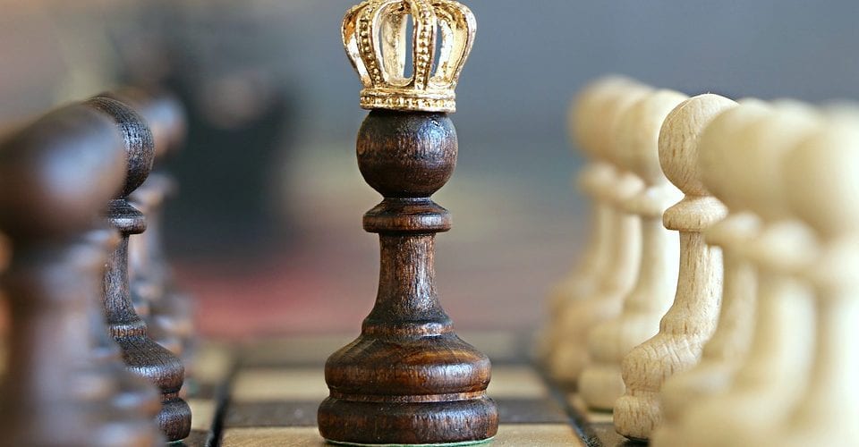 The blogging champion