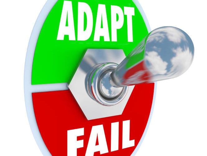 Curatti - Adapt or Fail