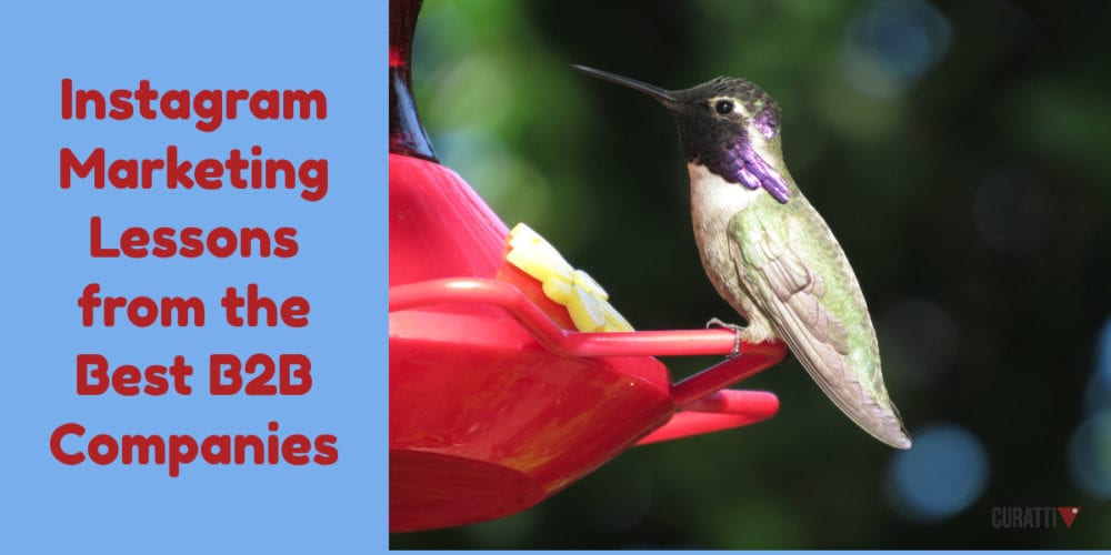 Instagram Marketing Lessons from the Best B2B Companies